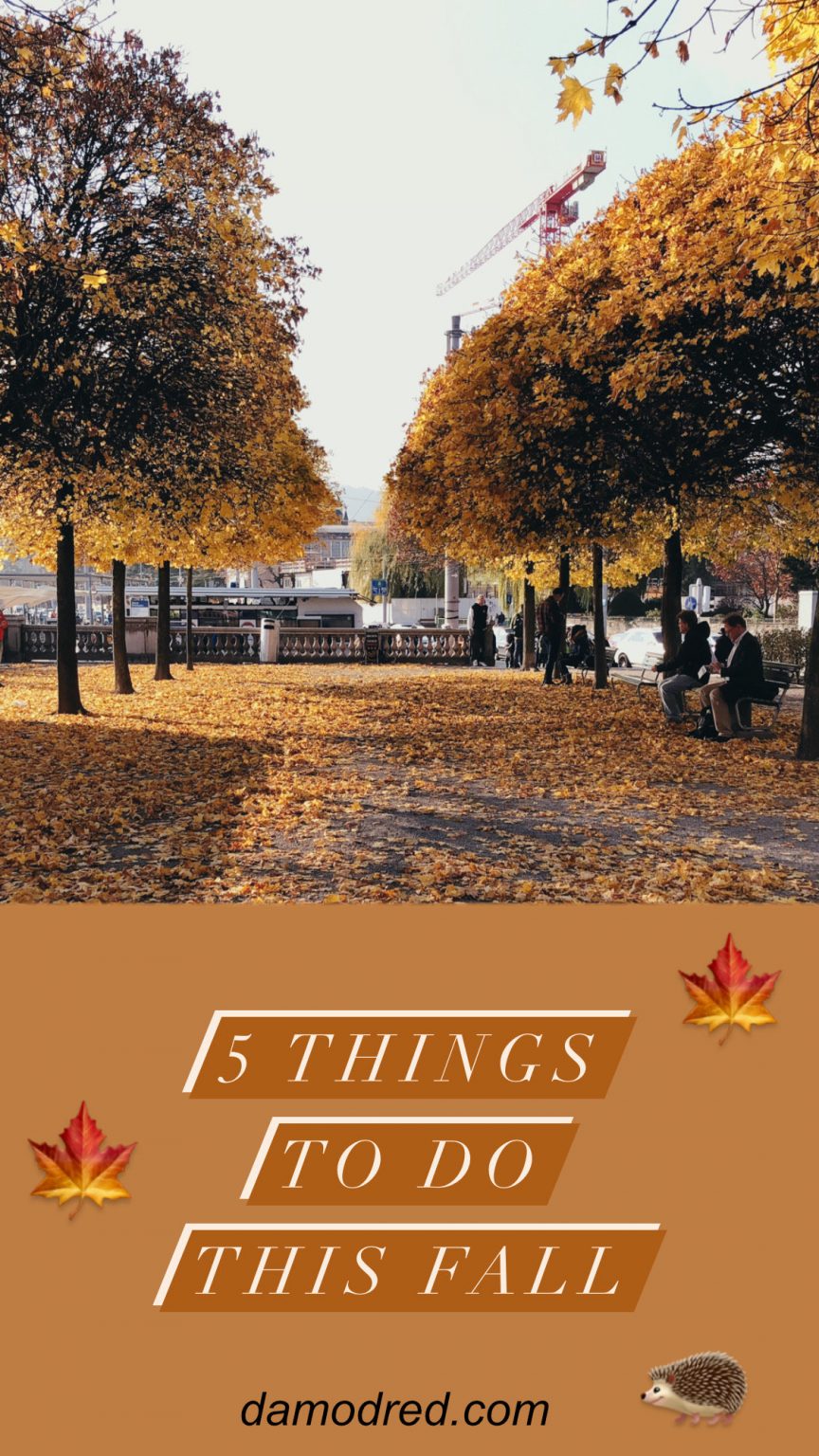 5 things to do this autumn